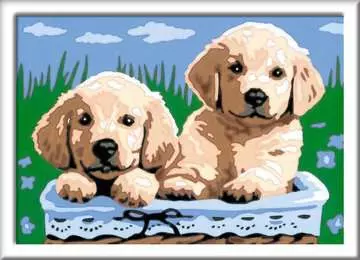 Cute Puppies Loisirs créatifs;Peinture - Numéro d’art - Image 1 - Ravensburger