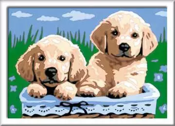 Cute Puppies Hobby;Schilderen op nummer - image 2 - Ravensburger