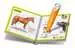 tiptoi® - Mini Doc  - Chevaux et poneys tiptoi®;tiptoi® livres - Image 3 - Ravensburger