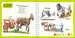 tiptoi® - Mini Doc  - Chevaux et poneys tiptoi®;tiptoi® livres - Image 10 - Ravensburger