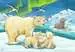 Baby Safari Animals       2x12p Pussel;Barnpussel - bild 3 - Ravensburger
