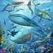 Ocean Life Pussel;Barnpussel - bild 3 - Ravensburger