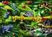 Anfibios asombrosos Puzzles;Puzzle Infantiles - imagen 2 - Ravensburger