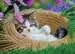 Piccoli gatti 4x100p Puzzles;Puzzle Infantiles - imagen 3 - Ravensburger
