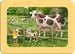 Exploring The Farm 3x6p Pussel;Barnpussel - bild 5 - Ravensburger