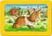 Domácí zvířátka 3x6 dílků 2D Puzzle;Dětské puzzle - obrázek 4 - Ravensburger