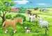 Mláďata na farmě 2x12 dílků 2D Puzzle;Dětské puzzle - obrázek 3 - Ravensburger