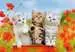 07626 0 子猫の冒険（12ピース×2） パズル;お子様向けパズル - 画像 2 - Ravensburger