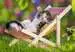 Ospalá koťátka 2x24 dílků 2D Puzzle;Dětské puzzle - obrázek 3 - Ravensburger