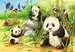Dulce koala y panda Puzzles;Puzzle Infantiles - imagen 3 - Ravensburger
