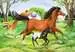 World of Horses Palapelit;Lasten palapelit - Kuva 3 - Ravensburger