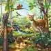 Forest/Zoo/Domestic Anim. 3x49p Puslespill;Barnepuslespill - bilde 4 - Ravensburger