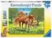Koně na pastvině 100 dílků 2D Puzzle;Dětské puzzle - obrázek 1 - Ravensburger