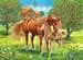 Koně na pastvině 100 dílků 2D Puzzle;Dětské puzzle - obrázek 2 - Ravensburger