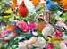 Oiseaux de jardin Puzzles;Puzzles pour adultes - Image 2 - Ravensburger