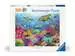 Puzzle 500 p - Eaux tropicales Puzzles;Puzzles pour adultes - Image 1 - Ravensburger