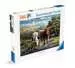 Loving Longhorns Puzzels;Puzzels voor volwassenen - image 1 - Ravensburger