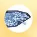 Sort & Go Premium Puzzels;Puzzels voor volwassenen - image 5 - Ravensburger