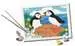 CreArt junior Hobby;Schilderen op nummer - image 7 - Ravensburger
