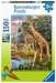 Giraffes in Africa        150p Pussel;Barnpussel - bild 1 - Ravensburger