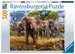 Elephant family           500p Puslespil;Puslespil for voksne - Billede 1 - Ravensburger