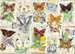 Krásní motýli 1000 dílků 2D Puzzle;Puzzle pro dospělé - obrázek 2 - Ravensburger
