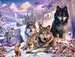 Wolves in the Snow Puslespill;Voksenpuslespill - bilde 2 - Ravensburger