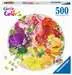 Puzzle rond 500 p - Fruits et légumes (Circle of Colors) Puzzle;Puzzles adultes - Image 1 - Ravensburger