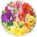 Puzzle rond 500 p - Fruits et légumes (Circle of Colors) Puzzle;Puzzles adultes - Image 2 - Ravensburger