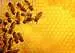 Challenge Puzzle: Včely na medové plástvi 1000 dílků 2D Puzzle;Puzzle pro dospělé - obrázek 2 - Ravensburger