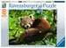 AT: Red Panda Foto 500p Pussel;Vuxenpussel - bild 1 - Ravensburger