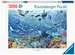 AT: Underwater 3000p Jigsaw Puzzles;Adult Puzzles - image 1 - Ravensburger