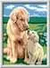 CreArt Serie D Classic - Retriever sul prato Giochi Creativi;CreArt Bambini - immagine 1 - Ravensburger