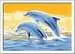 Delightful Dolphins Loisirs créatifs;Peinture - Numéro d’art - Image 1 - Ravensburger