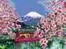 CreArt Japonské třešňové květy Kreativní a výtvarné hračky;CreArt Malování pro dospělé - obrázek 3 - Ravensburger