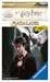 Harry Potter Sagaland Spellen;Pocketspellen - image 1 - Ravensburger