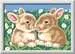 Fluffy Bunnies Loisirs créatifs;Peinture - Numéro d’art - Image 1 - Ravensburger