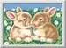 Fluffy Bunnies Hobby;Schilderen op nummer - image 2 - Ravensburger
