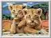 Little Lion Cubs Loisirs créatifs;Numéro d art - Image 1 - Ravensburger