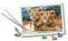 Little Lion Cubs Loisirs créatifs;Peinture - Numéro d’art - Image 2 - Ravensburger