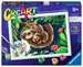 Sweet Sloths Loisirs créatifs;Peinture - Numéro d’art - Image 1 - Ravensburger