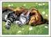 CreArt Serie E Classic - Cane e gatto dolce sonno Giochi Creativi;CreArt Bambini - immagine 2 - Ravensburger