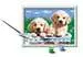 Cute Puppies Hobby;Schilderen op nummer - image 2 - Ravensburger