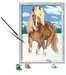 The Royal Horse Hobby;Schilderen op nummer - image 3 - Ravensburger