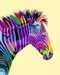 Zebra Hobby;Schilderen op nummer - image 2 - Ravensburger